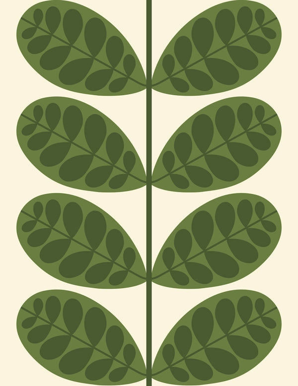 Botanica Wallpaper in Green Artwork by Orla Kiely
